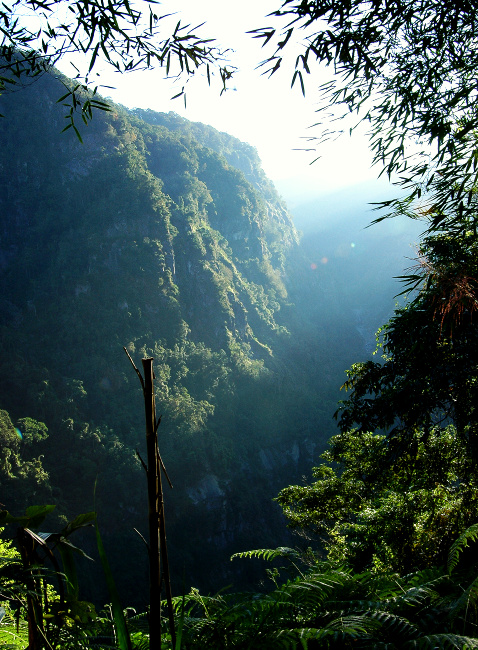 按此在新視窗瀏覽圖片
