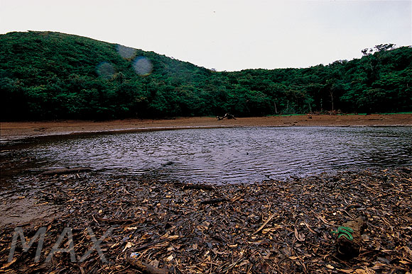 按此在新視窗瀏覽圖片