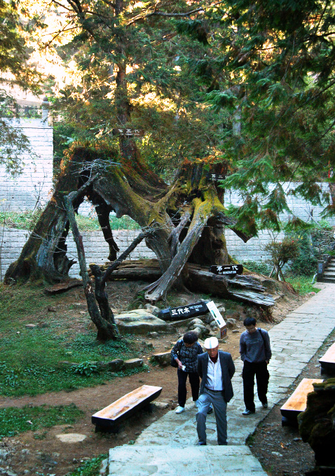 按此在新視窗瀏覽圖片