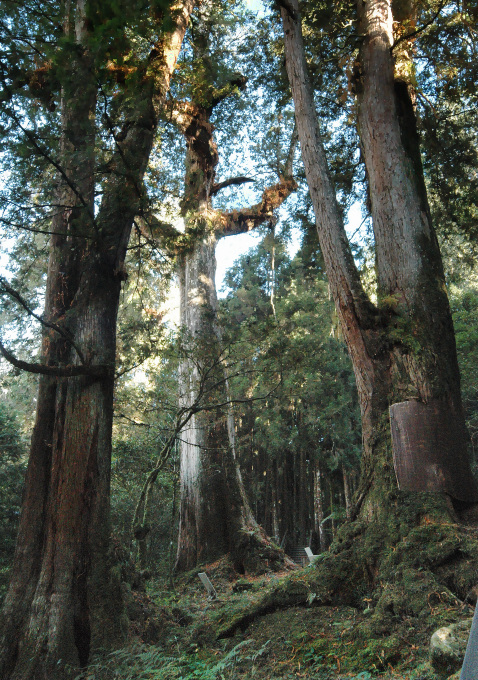 按此在新視窗瀏覽圖片