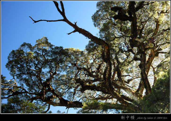 按此在新視窗瀏覽圖片