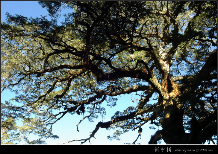 按此在新視窗瀏覽圖片