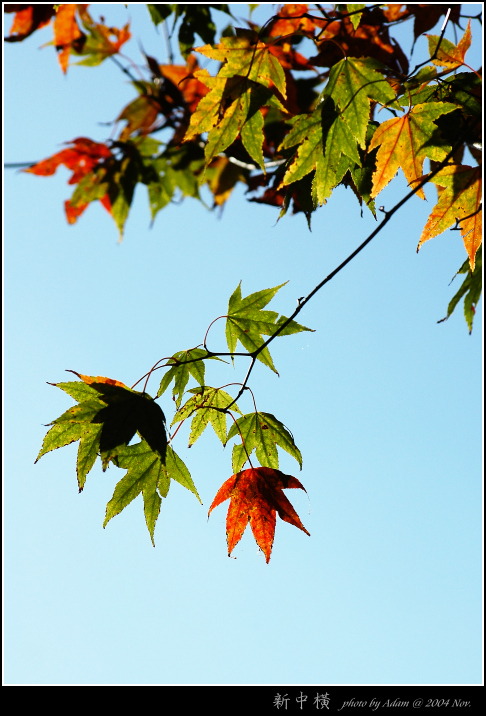 按此在新視窗瀏覽圖片
