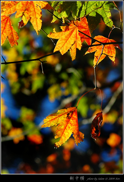 按此在新視窗瀏覽圖片
