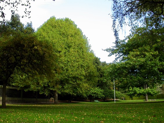 按此在新視窗瀏覽圖片