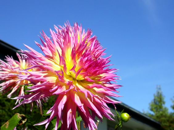 按此在新視窗瀏覽圖片