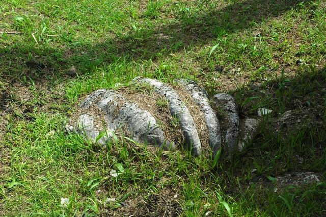 按此在新視窗瀏覽圖片