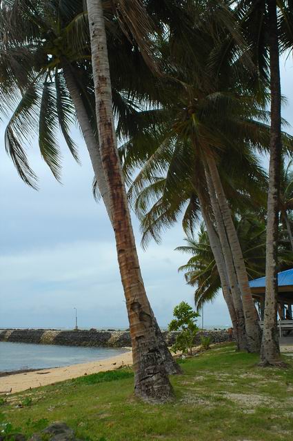 按此在新視窗瀏覽圖片