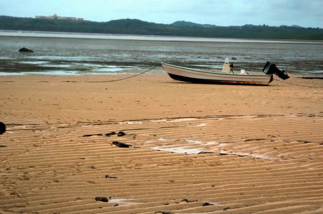 按此在新視窗瀏覽圖片