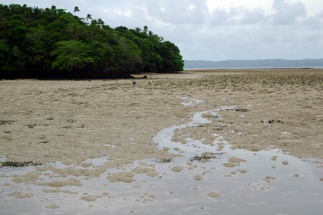 按此在新視窗瀏覽圖片