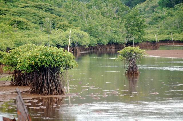 按此在新視窗瀏覽圖片