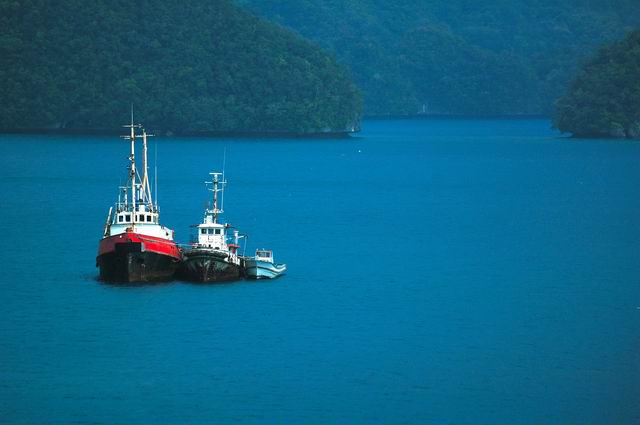 按此在新視窗瀏覽圖片