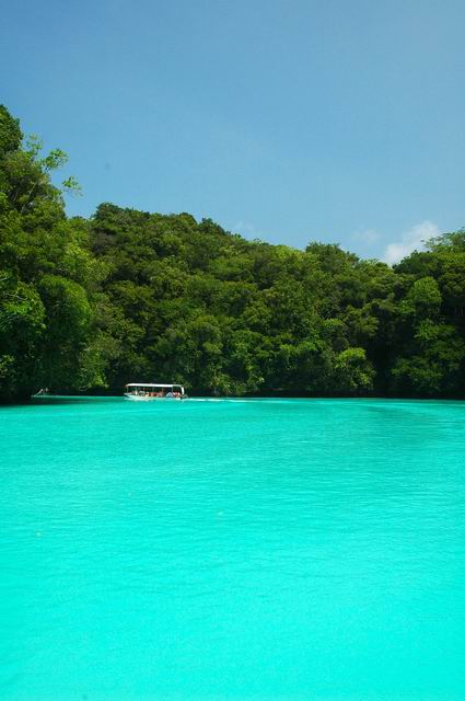 按此在新視窗瀏覽圖片