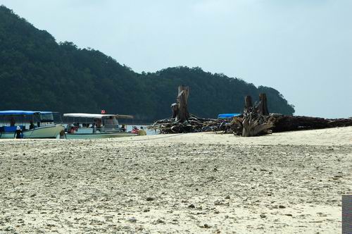 按此在新視窗瀏覽圖片