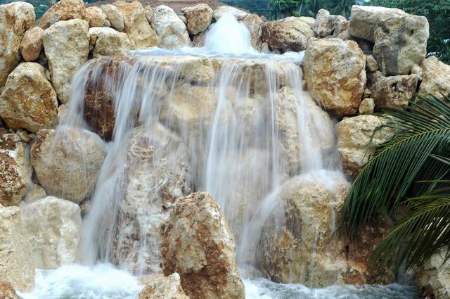 按此在新視窗瀏覽圖片