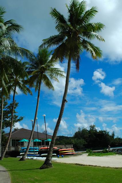 按此在新視窗瀏覽圖片