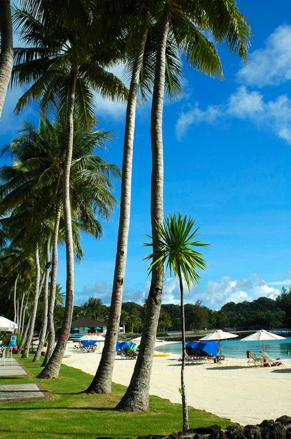 按此在新視窗瀏覽圖片