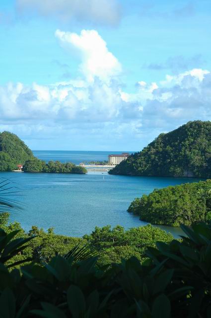 按此在新視窗瀏覽圖片