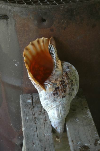 按此在新視窗瀏覽圖片