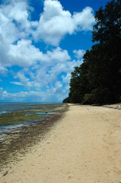 按此在新視窗瀏覽圖片