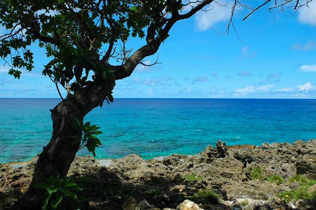 按此在新視窗瀏覽圖片