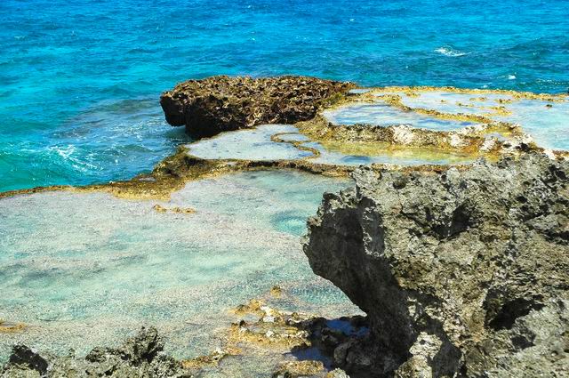 按此在新視窗瀏覽圖片