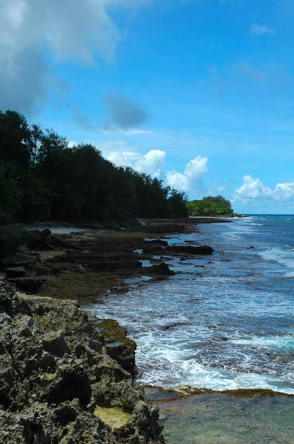 按此在新視窗瀏覽圖片