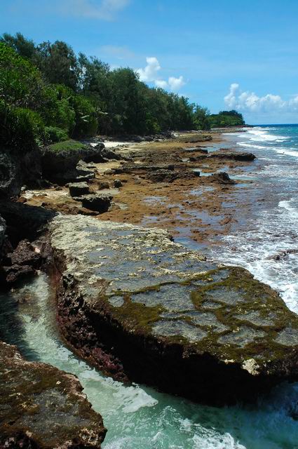 按此在新視窗瀏覽圖片