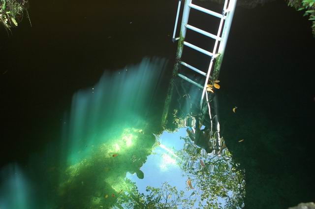 按此在新視窗瀏覽圖片