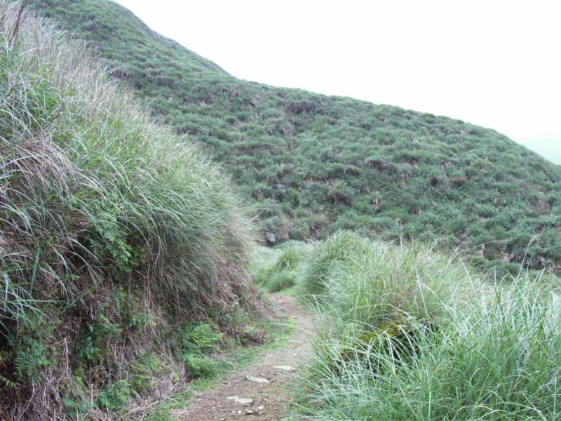 按此在新視窗瀏覽圖片