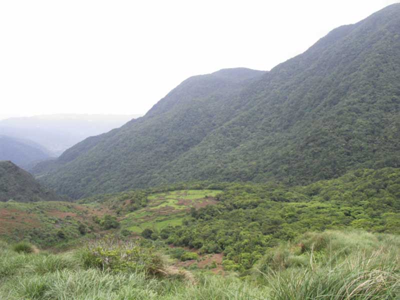 按此在新視窗瀏覽圖片