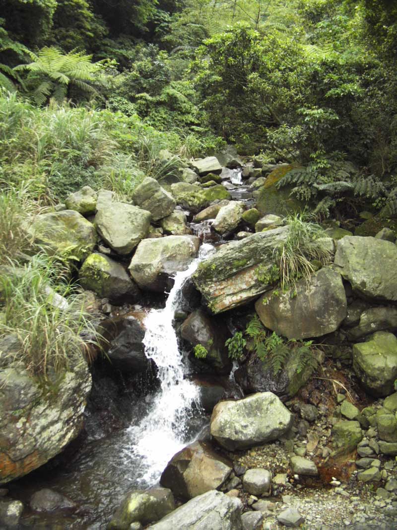 按此在新視窗瀏覽圖片