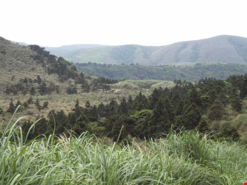 按此在新視窗瀏覽圖片