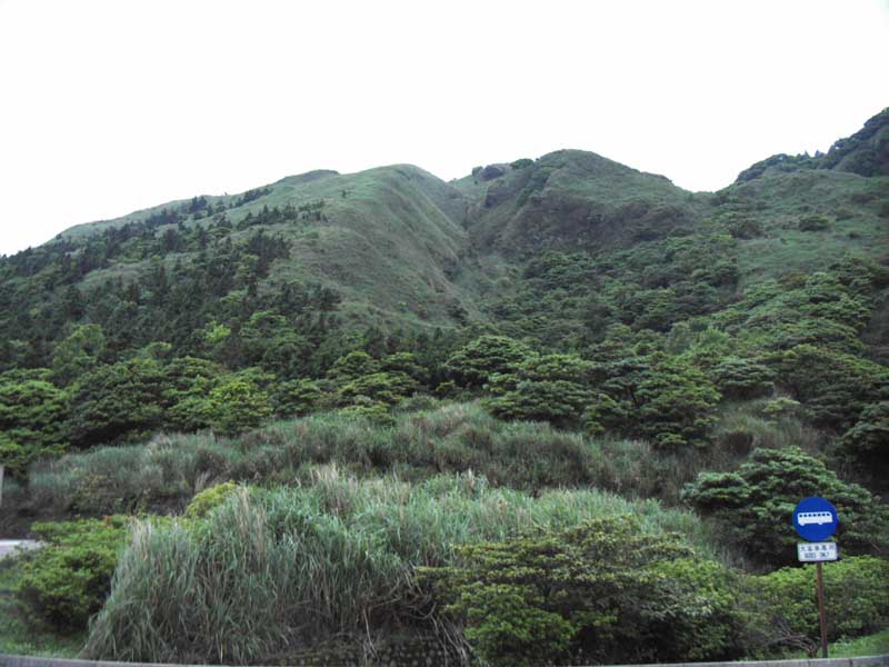 按此在新視窗瀏覽圖片