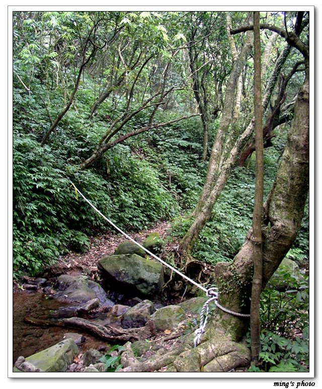 按此在新視窗瀏覽圖片