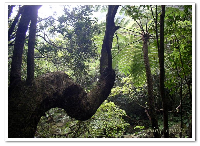 按此在新視窗瀏覽圖片