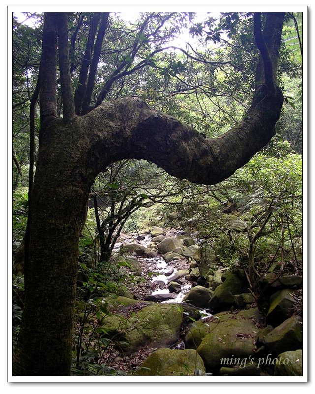 按此在新視窗瀏覽圖片