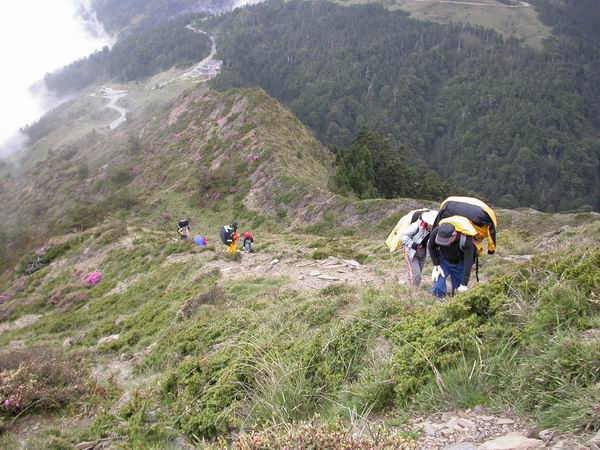 按此在新視窗瀏覽圖片