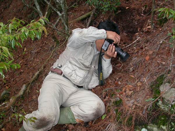 按此在新視窗瀏覽圖片