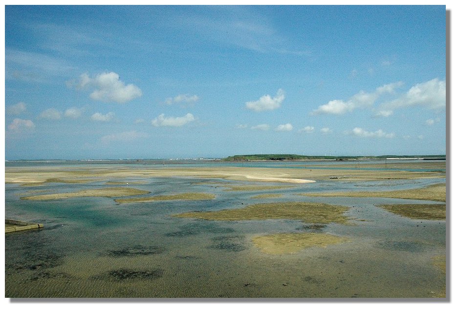 按此在新視窗瀏覽圖片