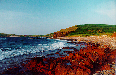 按此在新視窗瀏覽圖片