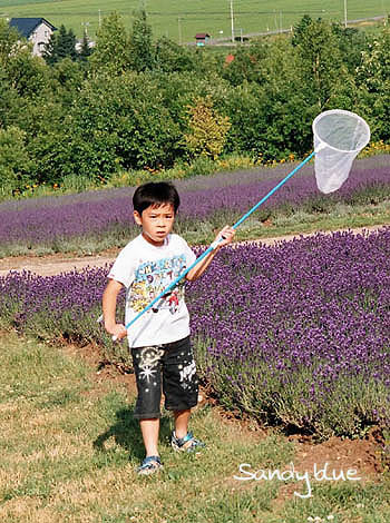 按此在新視窗瀏覽圖片