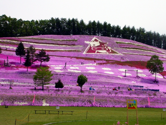 按此在新視窗瀏覽圖片