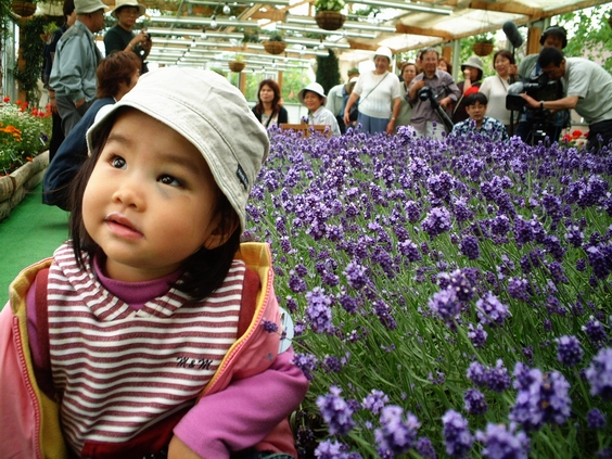 按此在新視窗瀏覽圖片