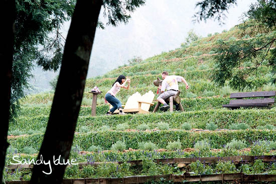 按此在新視窗瀏覽圖片