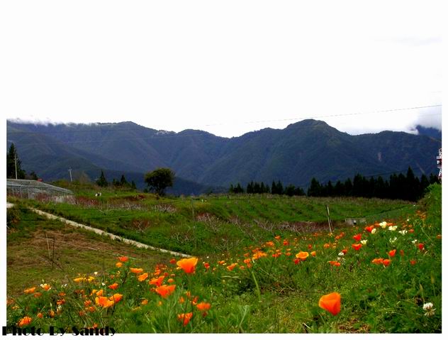 按此在新視窗瀏覽圖片