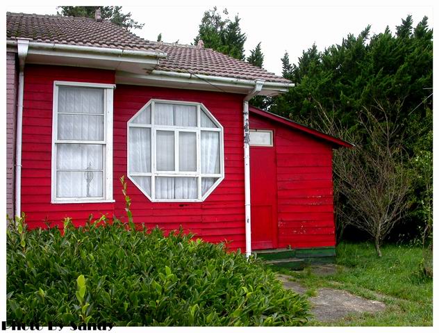 按此在新視窗瀏覽圖片