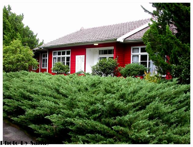 按此在新視窗瀏覽圖片