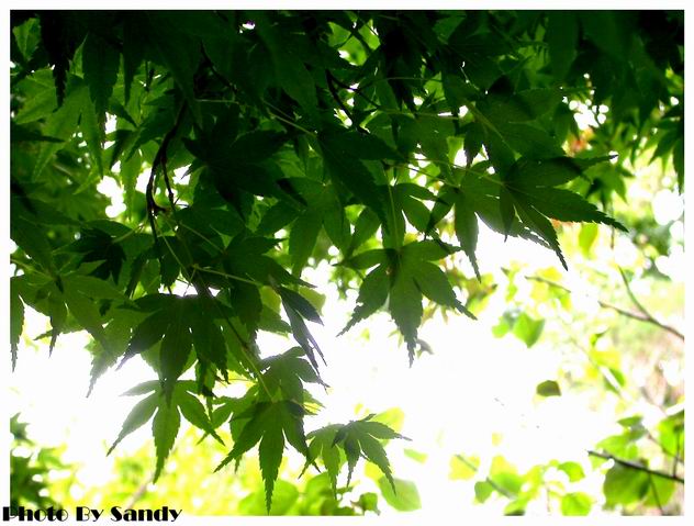 按此在新視窗瀏覽圖片