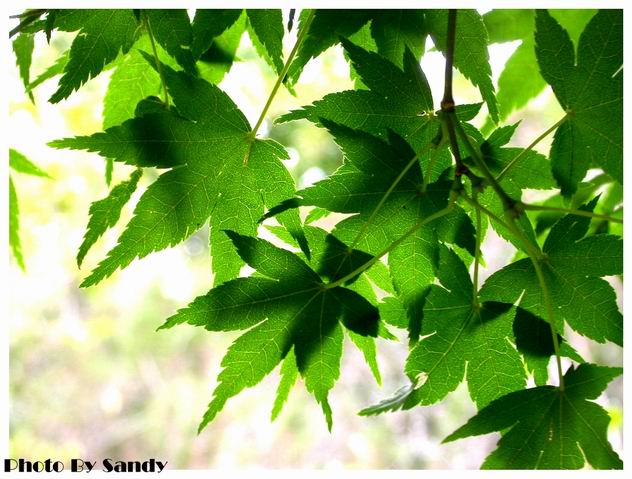 按此在新視窗瀏覽圖片